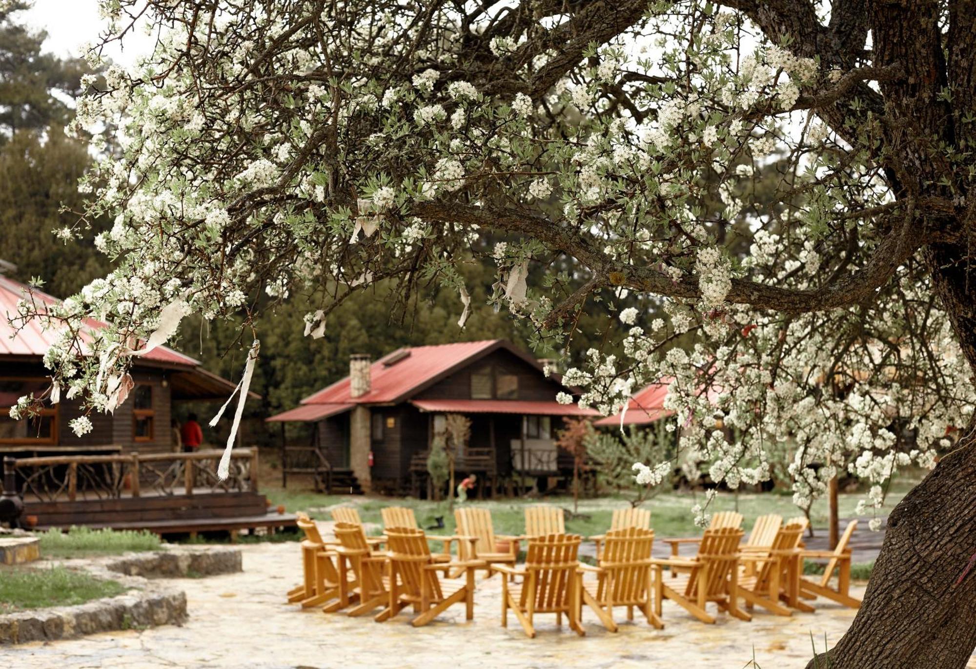 Hotel Babakamp Eco Ranch & Retreat Ölüdeniz Exterior foto